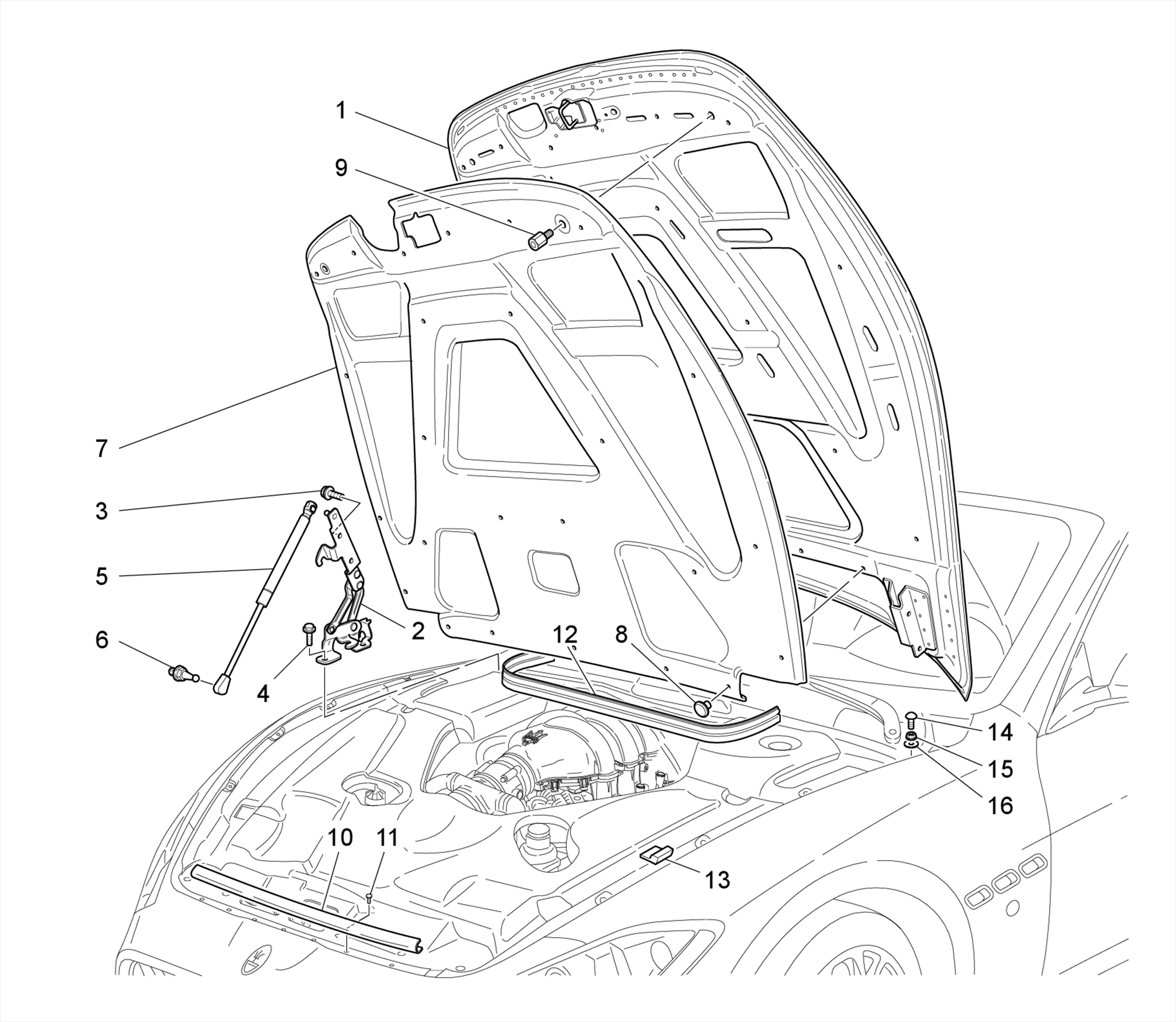 821.01.00-WING PROTECTOR FRONT