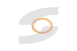 Ferrari 10263460 GASKET